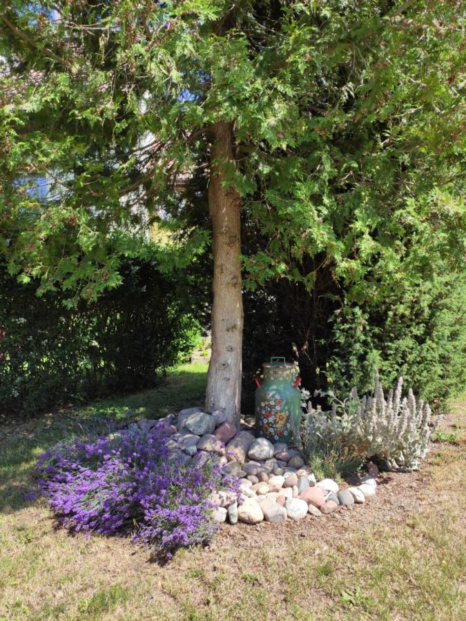 Agroturystyka I Domki Zacisze ยารอสวาเวียซ ภายนอก รูปภาพ